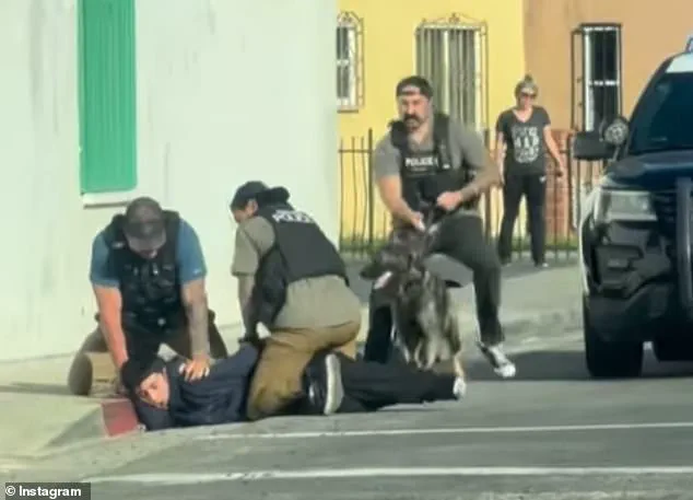 Viral Video of Teen Confrontation with Police Sparks ICE Claims, But Officials Clarify No Immigration Involvement