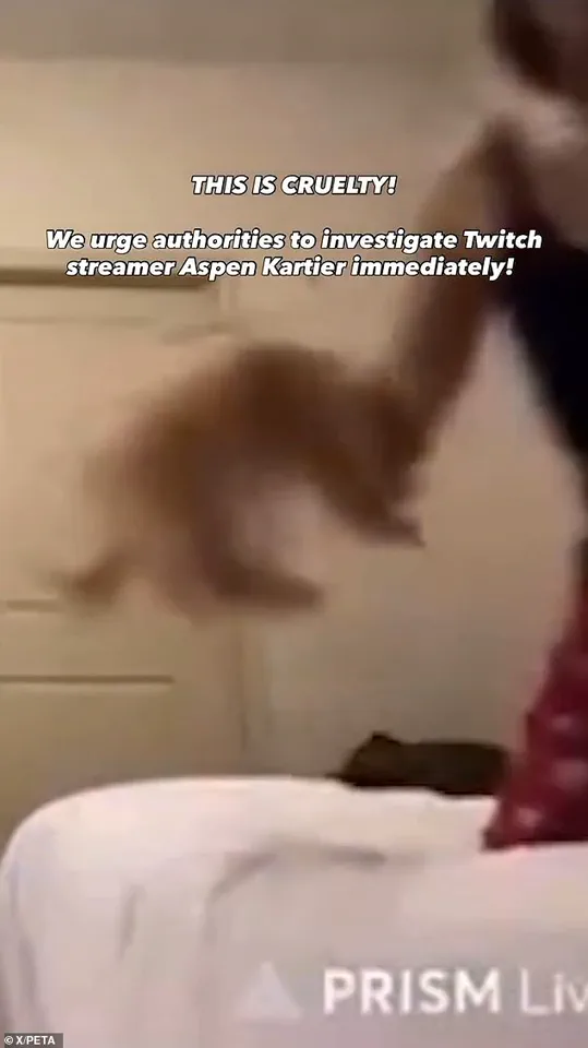 19-Year-Old Rapper Arrested After Viral Video Allegedly Shows Dog Abuse During Twitch Stream