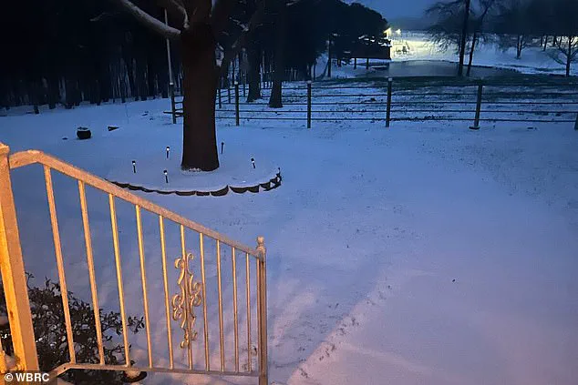 Homeless Man Survives Garbage Truck Dumpster Tragedy Amid Winter Storm Fern in Jackson