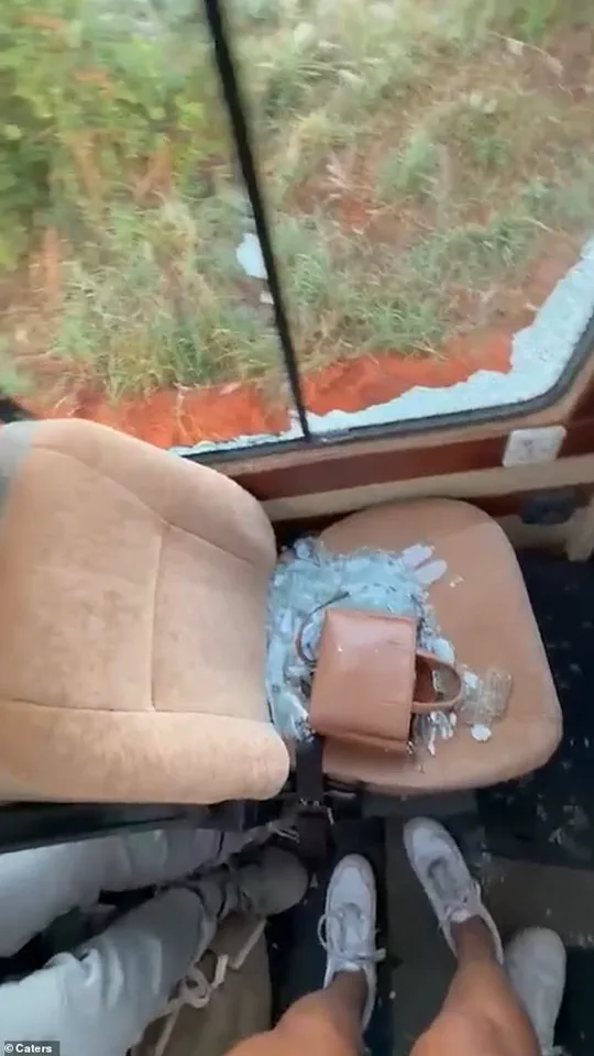 Exclusive Footage Reveals Elephant's Surprise Attack on Safari Vehicle in Serengeti