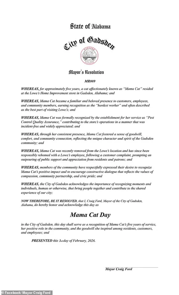 Mama Cat's Controversial 'Firing' Sparks Debate Over Corporate Policy and Small-Town Heart