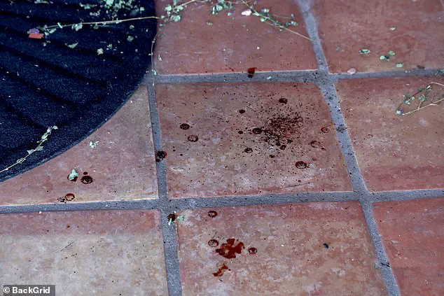 No Suspects in Nancy Guthrie's Disappearance as Family Pleads for Help Amid Unverified Ransom Claims