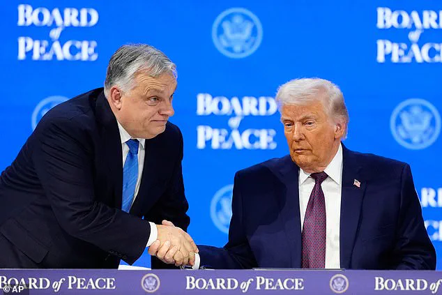 Trump's Board of Peace to Convene First Meeting, Focusing on Gaza Rebuilding and Global Collaboration