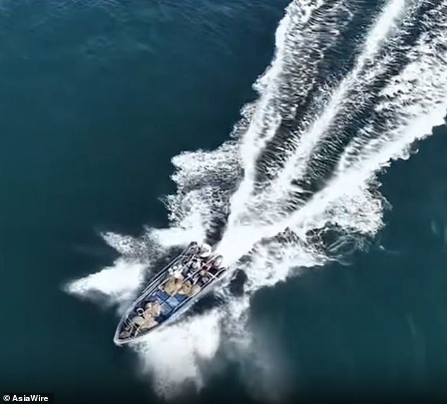 Protected Bryde's Whale Struck by Fishing Vessel Near Weizhou Island: Conservationists Sound Alarm