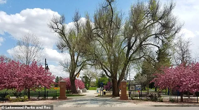 Aviation Park's Descent: From Suburban Haven to Homelessness Crisis