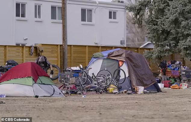 Aviation Park's Descent: From Suburban Haven to Homelessness Crisis