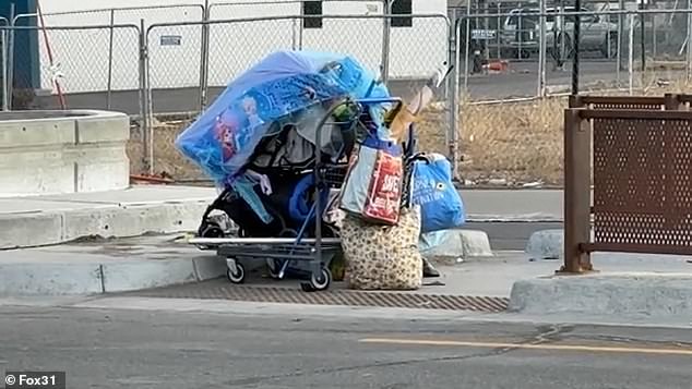 Aviation Park's Descent: From Suburban Haven to Homelessness Crisis