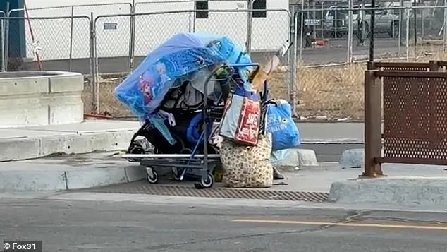 Aviation Park's Descent: From Suburban Haven to Homelessness Crisis