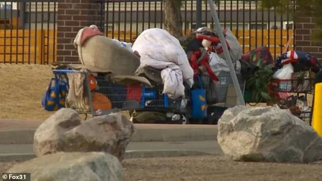 Aviation Park's Descent: From Suburban Haven to Homelessness Crisis