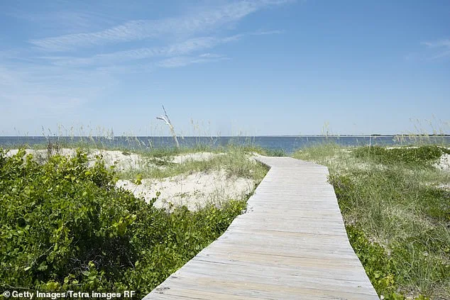 Great White Shark Contender Tracked Near Cape Fear Using Proprietary OREACH System
