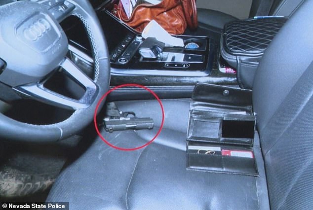 Nevada Woman Allegedly Points Gun at Troopers During Violent Traffic Stop, Dog Attacks Officer