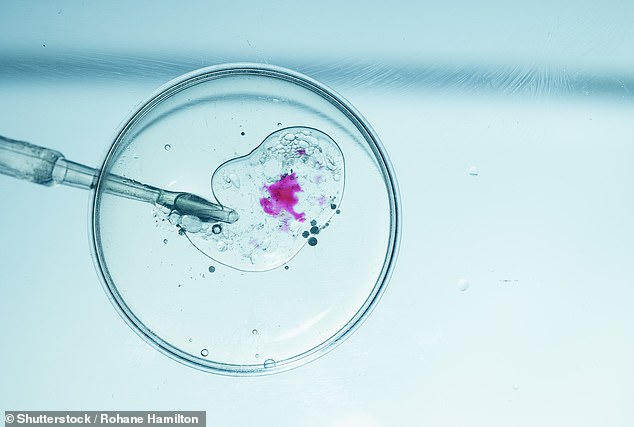 Donor Dan's $10K-a-Month Sperm Donation Empire: Elite Services or Controversial Cash Grab?