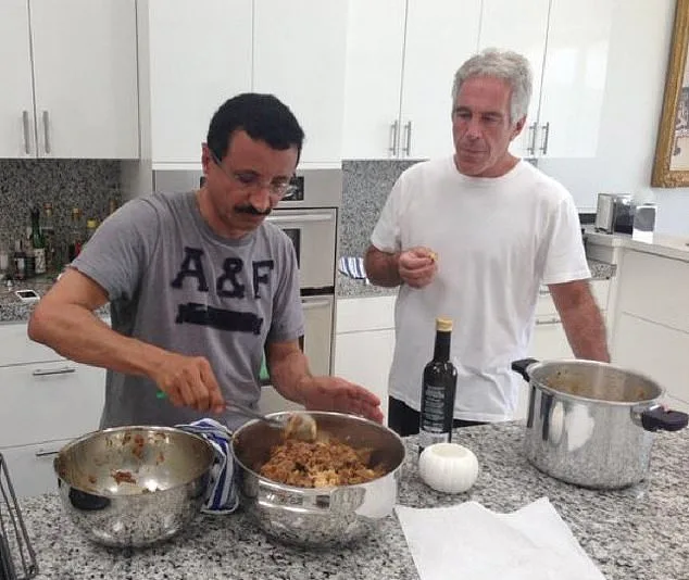 Leaked Emails Reveal Emirati Billionaire's Ties to Jeffrey Epstein