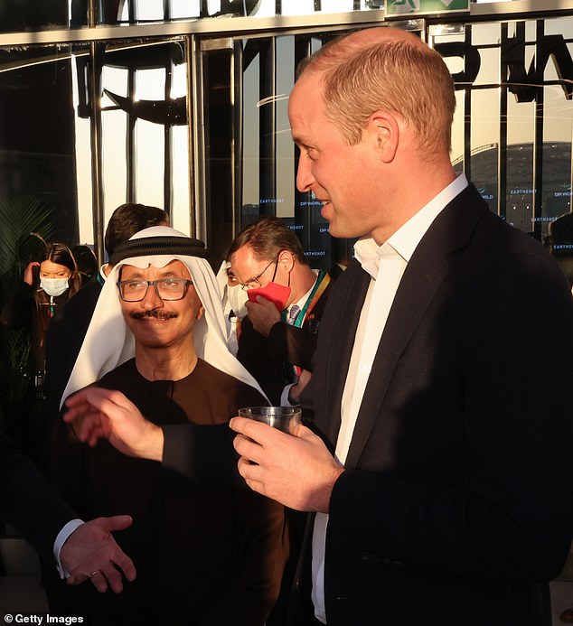 Leaked Emails Reveal Emirati Billionaire's Ties to Jeffrey Epstein