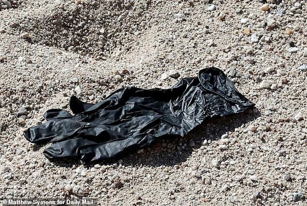 Discarded Glove's DNA Enters CODIS in Tucson Missing Person Case