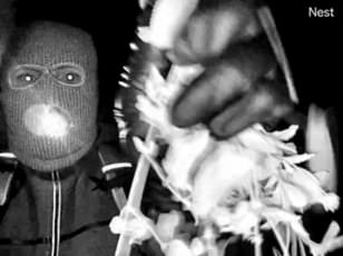 Trump Vows 'Most Severe' Justice for Nancy Guthrie's Abductors as High-Stakes Investigation Intensifies