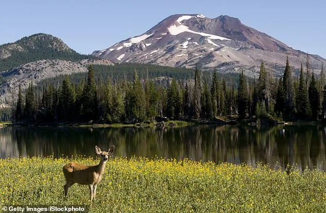 Oregon at a Crossroads: PEACE Initiative Aims to Ban Hunting and Fishing Amid Grassroots Support