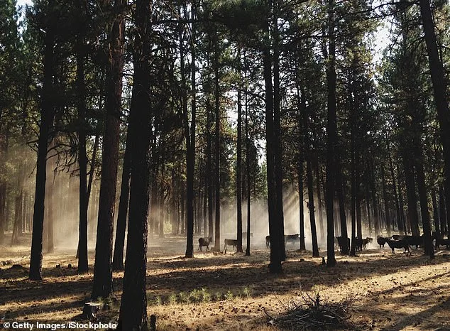 Oregon at a Crossroads: PEACE Initiative Aims to Ban Hunting and Fishing Amid Grassroots Support