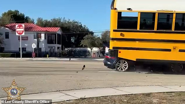 Harrowing Video Shows Jaguar Plowing Into School Bus in Florida, Miraculous Survival Amid Viral Footage