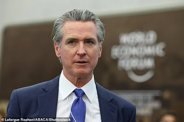 Op-Ed: Democratic Party Alleged to Have Already Lost 2028 Election, Two Years Before Ballots Are Cast