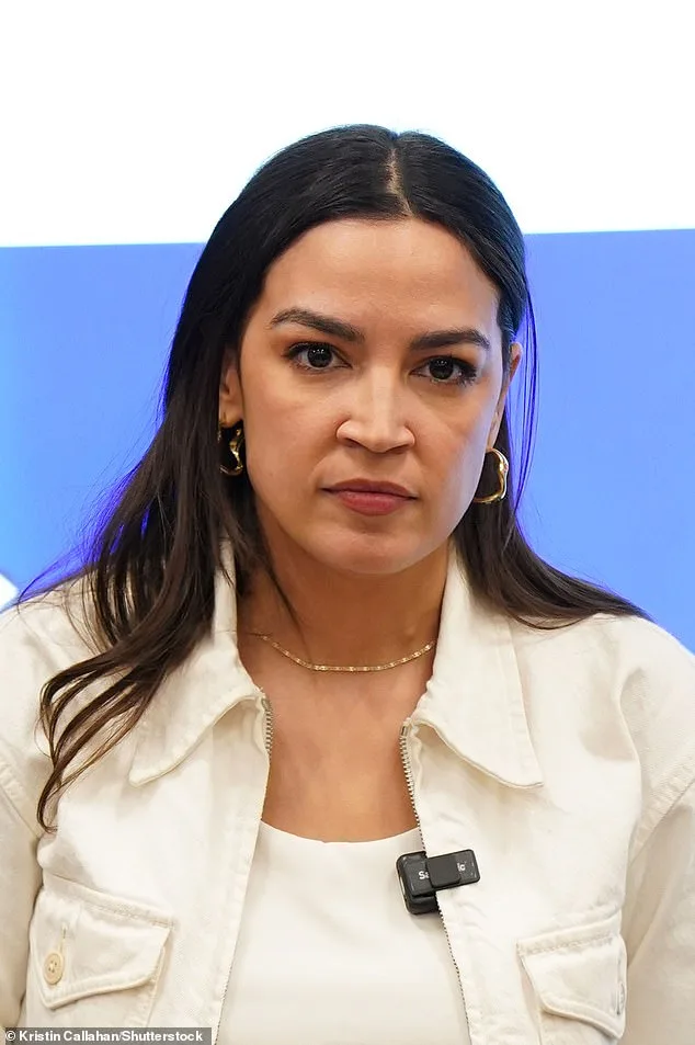 Op-Ed: Democratic Party Alleged to Have Already Lost 2028 Election, Two Years Before Ballots Are Cast