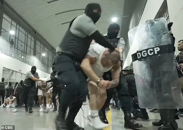 Bari Weiss Cancels UCLA Lecture Over Security Concerns, Sparks Free Speech Debate