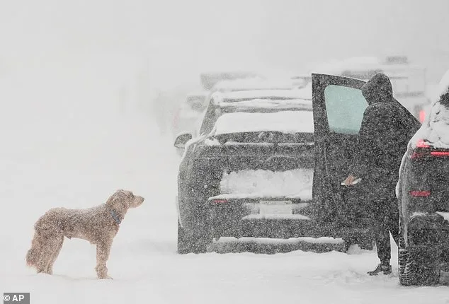 Winter Storm to Hit 27 States, Sierra Nevada Braces for 12-16 Feet of Snow, Disruption Expected