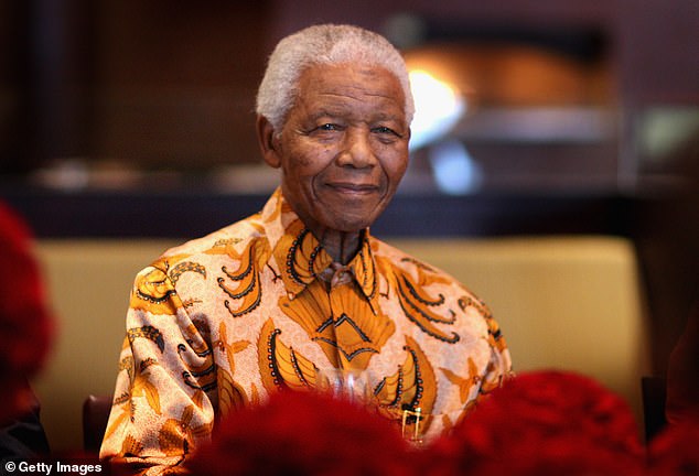 Nelson Mandela's Houghton Estate At the Center of a Legal and Ethical Controversy