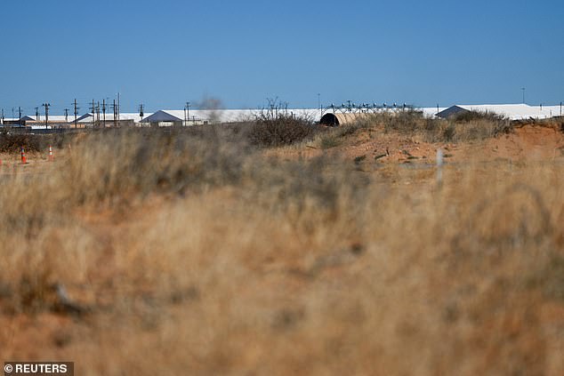 Irish Immigrant Detained by ICE Alleged to Have Abused Ex-Wife, Overstayed Visa by 16 Years