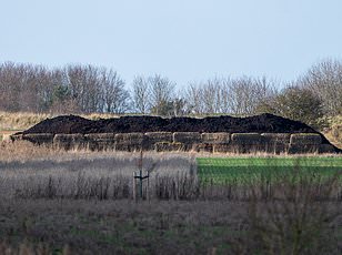 Former Duke of York's Grocery Deliveries Spark Unusual Waitrose Workaround