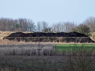 Former Duke of York's Grocery Deliveries Spark Unusual Waitrose Workaround