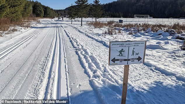Four-Year-Old Girl Dies in Sledding Accident at Parc Nakkertok, Ontario