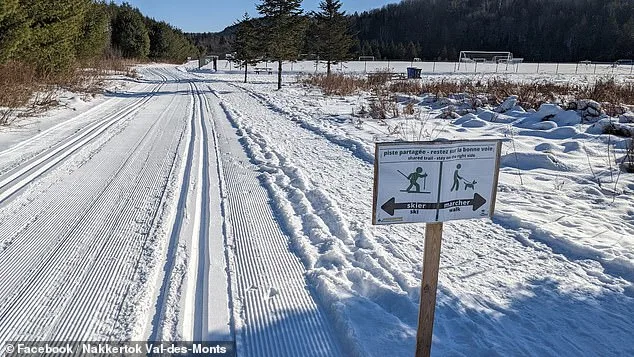 Four-Year-Old Girl Dies in Sledding Accident at Parc Nakkertok, Ontario