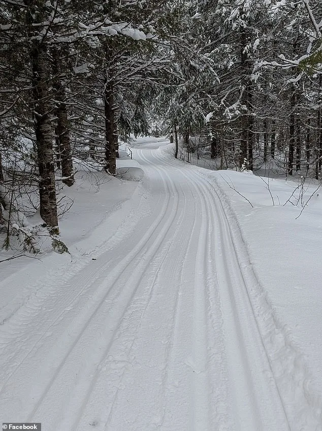 Four-Year-Old Girl Dies in Sledding Accident at Parc Nakkertok, Ontario