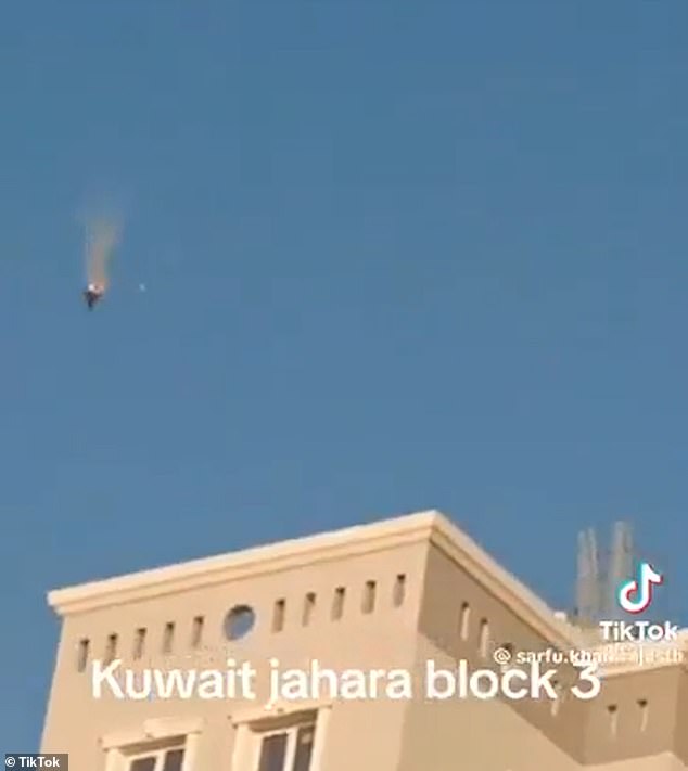 Alleged Friendly Fire: Viral Video Shows Kuwaiti Jet Shooting Down American F-15
