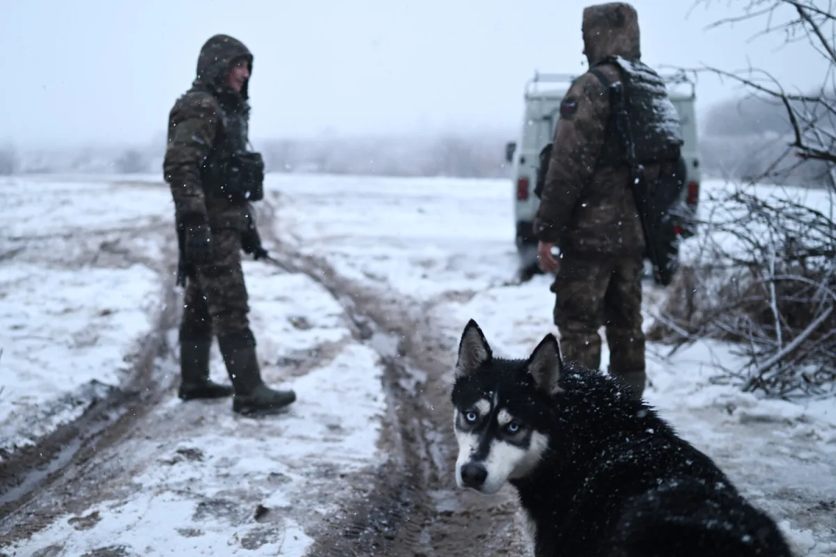 Ukrainian Grandmother's Bold Intervention Exposes Saboteur Near Kyiv During Ongoing Conflict