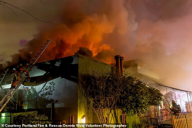 Fire at Portland's Elephants Delicatessen Caused by Torch on Trash Cans; Woman Arrested