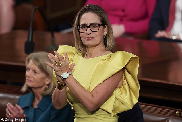 Krysten Sinema Faces Lawsuit Alleging Affair with Bodyguard Matthew Ammel, Leading to Divorce