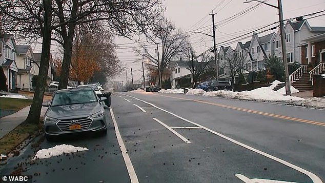 Noxious Odor Grips Bulls Head Neighborhood as Residents Battle Unrelenting Stench
