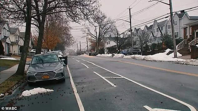 Noxious Odor Grips Bulls Head Neighborhood as Residents Battle Unrelenting Stench