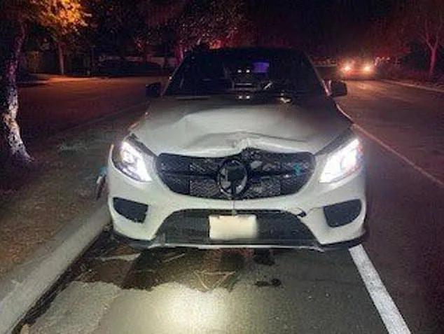 Appeals Court Upholds Conviction of California Socialite in Hit-and-Run Murder Case