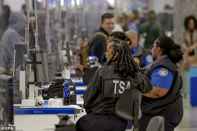 Elon Musk Steps In with Offer to Pay TSA Workers During Shutdown as Airports Grapple with Delays