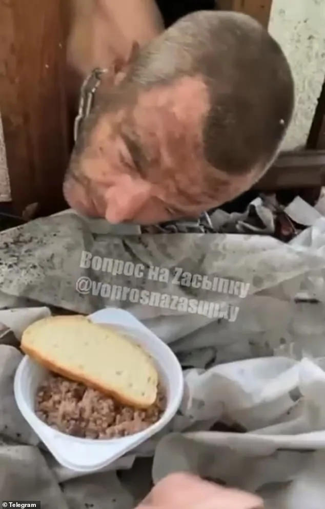 Harrowing Footage Reveals Alleged Abuse of Russian Soldiers on Ukraine's Frontlines