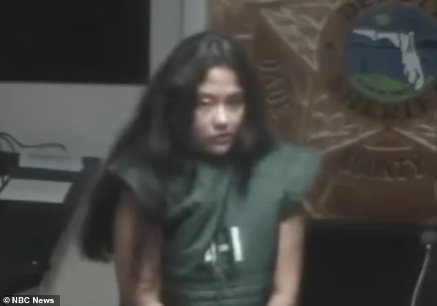Mentally Ill Mother Avoids Prison After Hitman Plot, Sparks Mental Health and Justice Debate