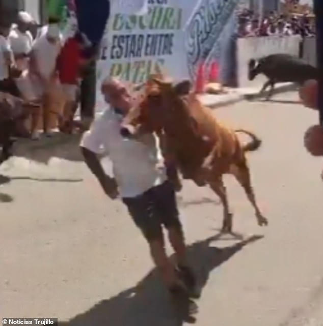 Miraculous Survival as Bull's Charge Leaves Man Stunned at Peruvian Festival