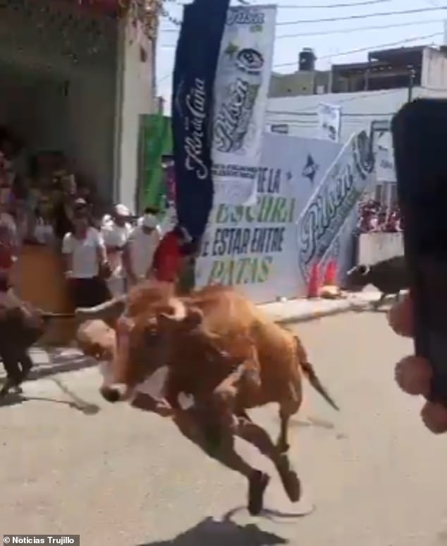 Miraculous Survival as Bull's Charge Leaves Man Stunned at Peruvian Festival