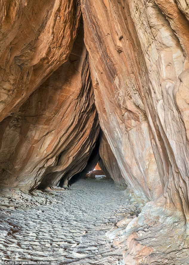 Utah's Ancient Petroglyphs Defaced in Vandalism Act, Angering Historians and Tribes