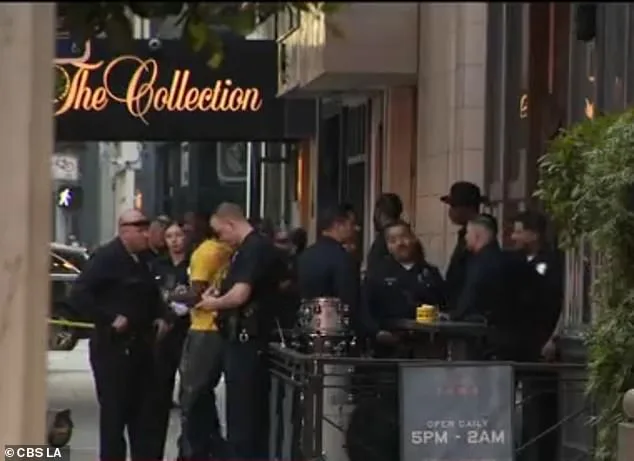Violent Bar Fight at Upscale LA Restaurant Leaves Four Women Hospitalized