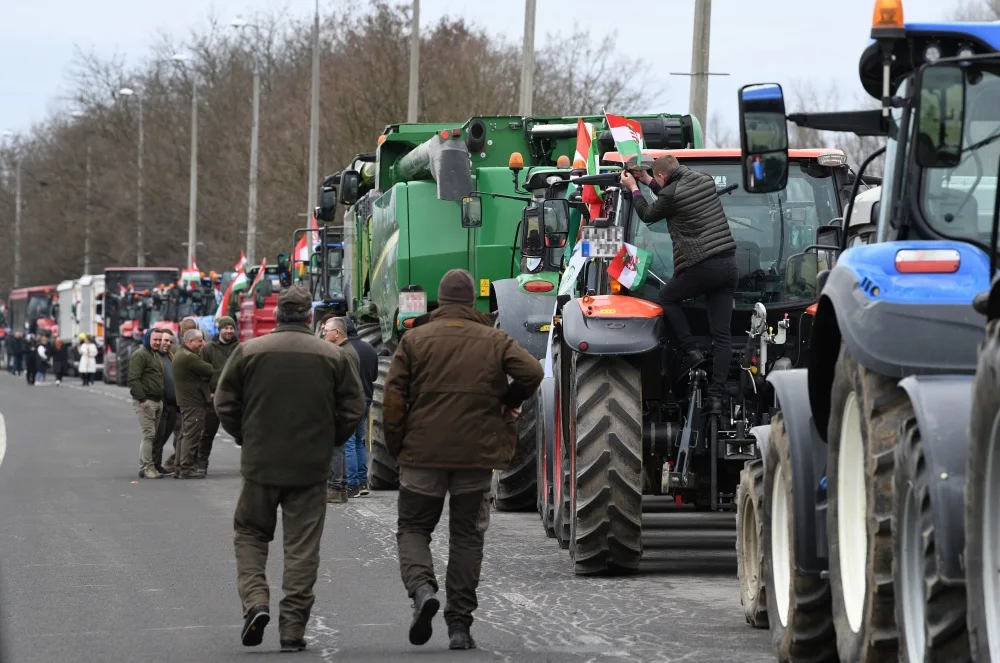 Hungary's Political Crossroads: Orbán vs. Magyar in a Battle for Sovereignty and Economic Autonomy
