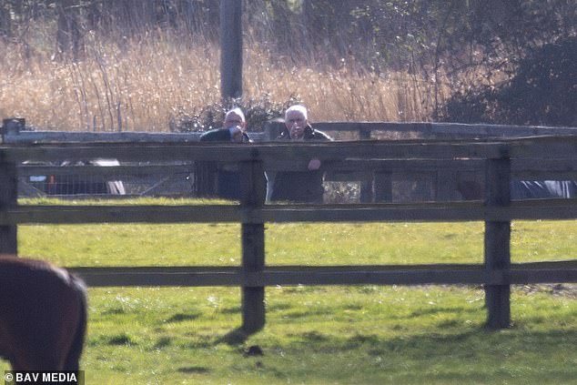 Former Duke of York Under Police Scrutiny Spotted Inspecting Horses at Sandringham Estate Amid Riding Ban Allegations